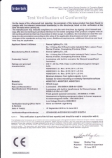 Intertek CE Certificate -2